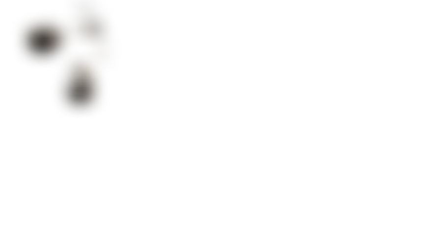 stone image
